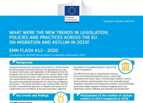Annual Report on Migration and Asylum 2019 (Flash)